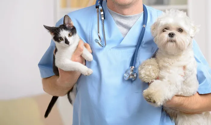 Sunset View Animal Hospital 12
