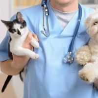 Sunset View Animal Hospital ico