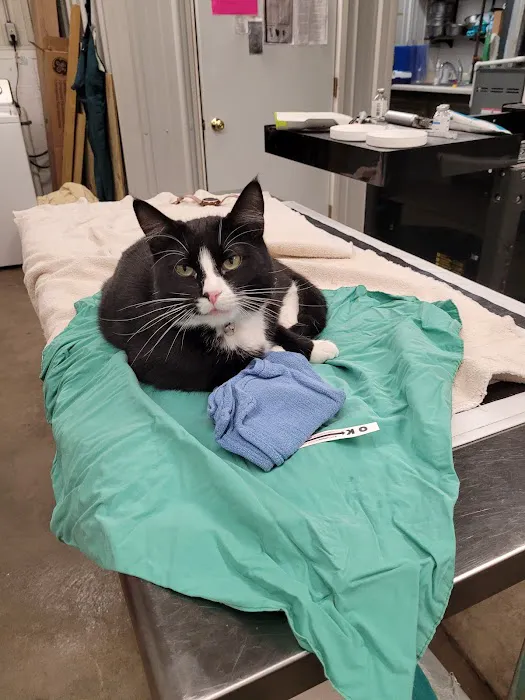 Tipton Veterinary Services 5