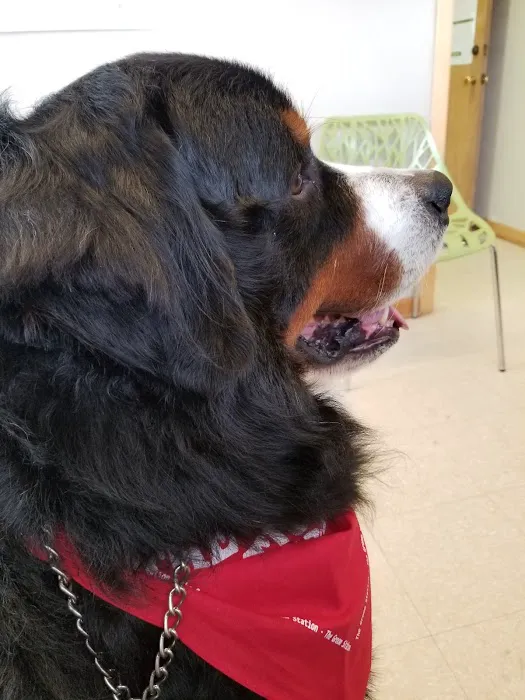 Tipton Veterinary Services 1