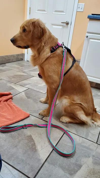 BLUE GRASS VETERINARY HOSPITAL 4