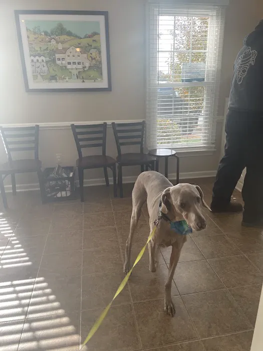 Copper Ridge Animal Hospital 12