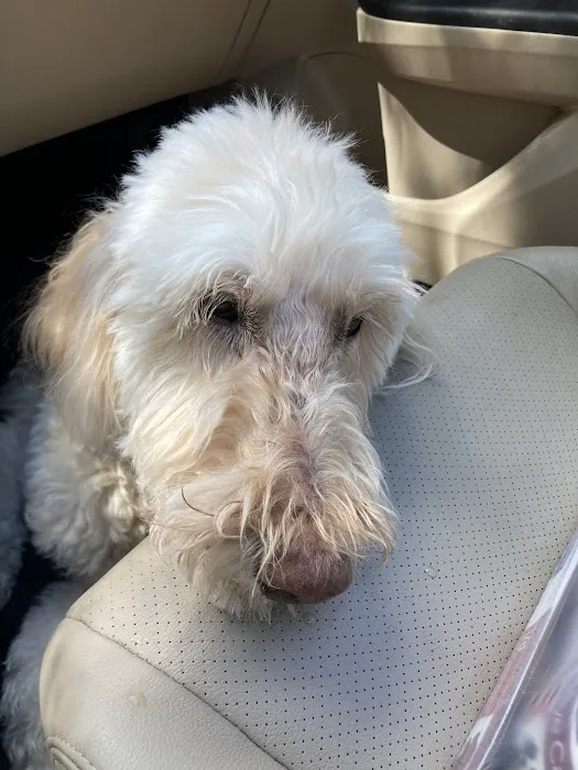 Old Dominion Animal Hospital Crozet 2