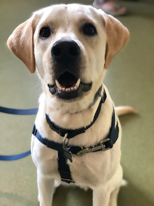 Animal Wellness Center 8