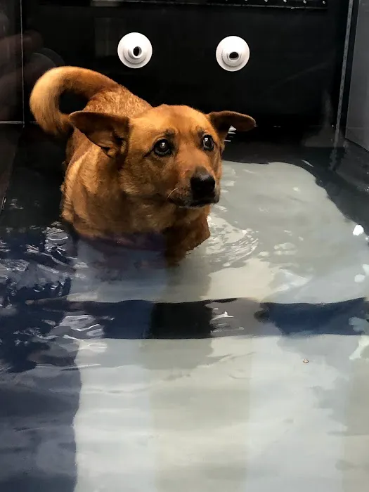 Animal Wellness Center 7
