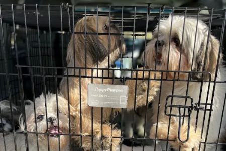 Disputanta Animal Hospital