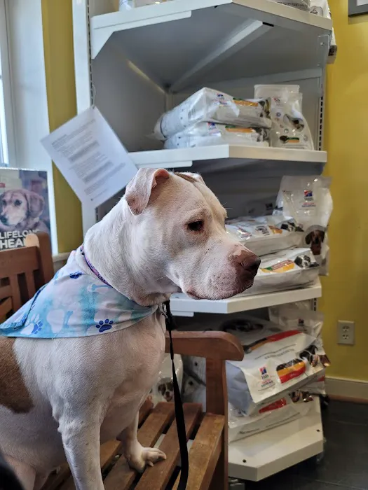 Disputanta Animal Hospital 2