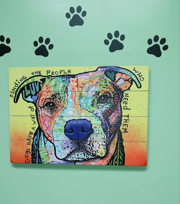 Disputanta Animal Hospital 6