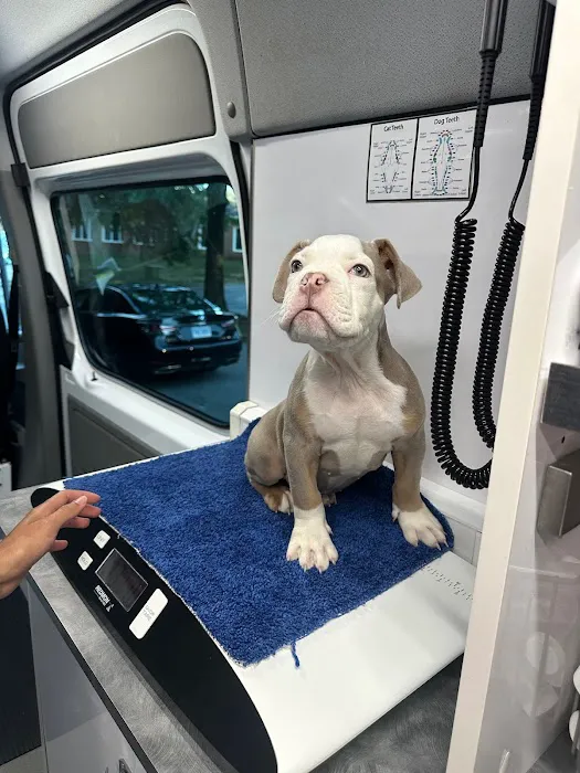 Capital Home Veterinary Care 10