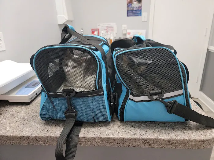 Stonehenge Veterinary Hospital 6