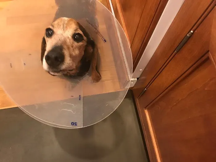 Stonehenge Veterinary Hospital 3