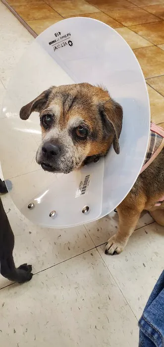 Banfield Pet Hospital 7