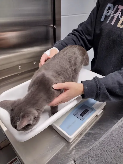 Animal Medical Center 12