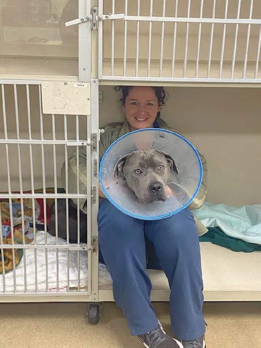 Animal Medical Center 12