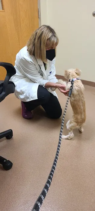 Veterinary Dermatology of Richmond 12