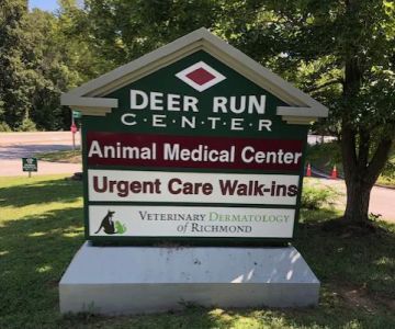 Veterinary Dermatology of Richmond