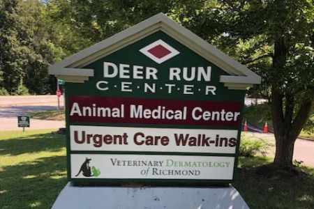 Veterinary Dermatology of Richmond