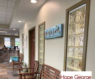 Swift Creek Animal Hospital & Pet Resort