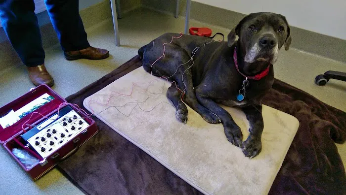 Woodlake Animal Hospital 12