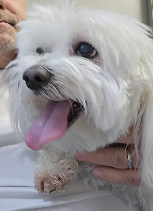 Woodlake Animal Hospital 12