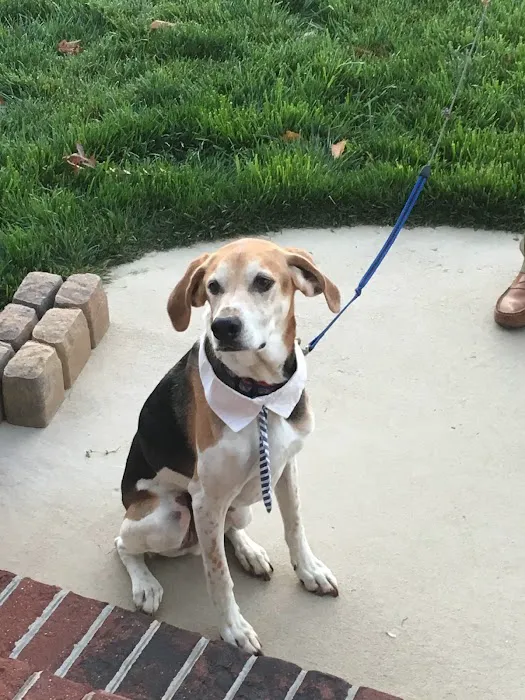Woodlake Animal Hospital 12
