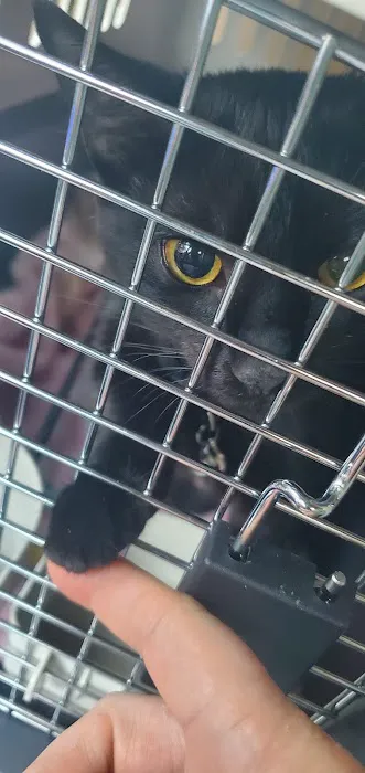 Loving Spay + Neuter Clinic 2