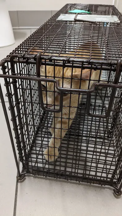 Loving Spay + Neuter Clinic 9