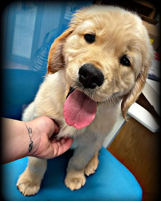 Sycamore Veterinary Hospital 9
