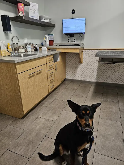 Sycamore Veterinary Hospital 5