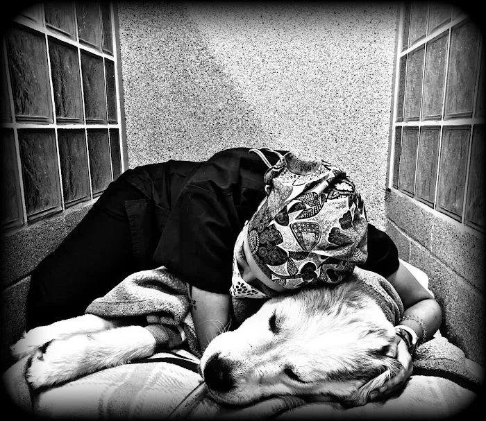 Sycamore Veterinary Hospital 10