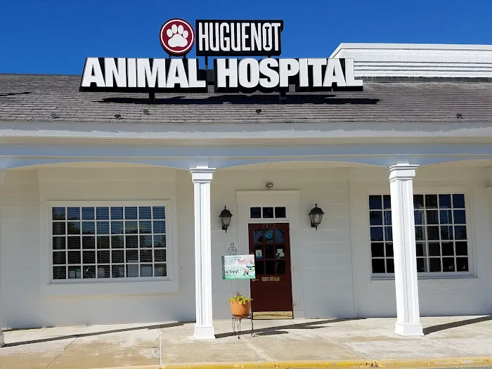 Huguenot Animal Hospital 3