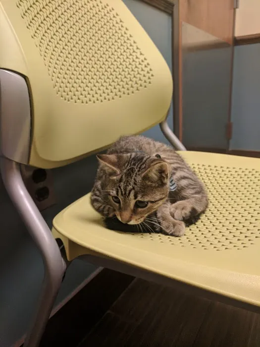 Huguenot Animal Hospital 4