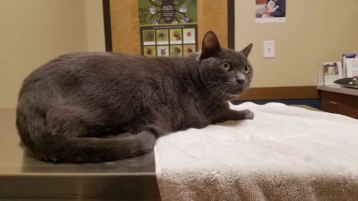 Huguenot Animal Hospital 1