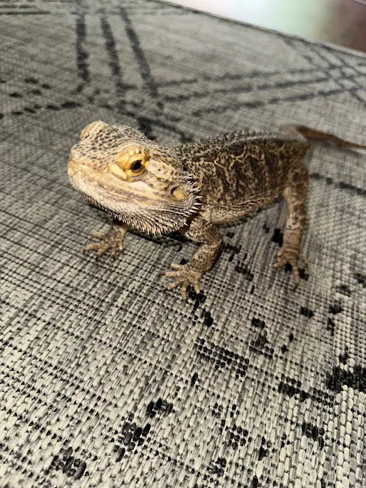 Oasis Small Animal and Exotics Veterinary Hospital 12