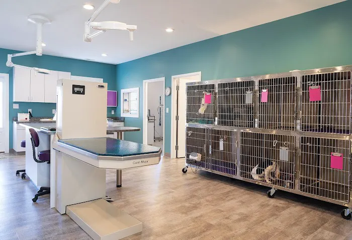 Oasis Small Animal and Exotics Veterinary Hospital 12
