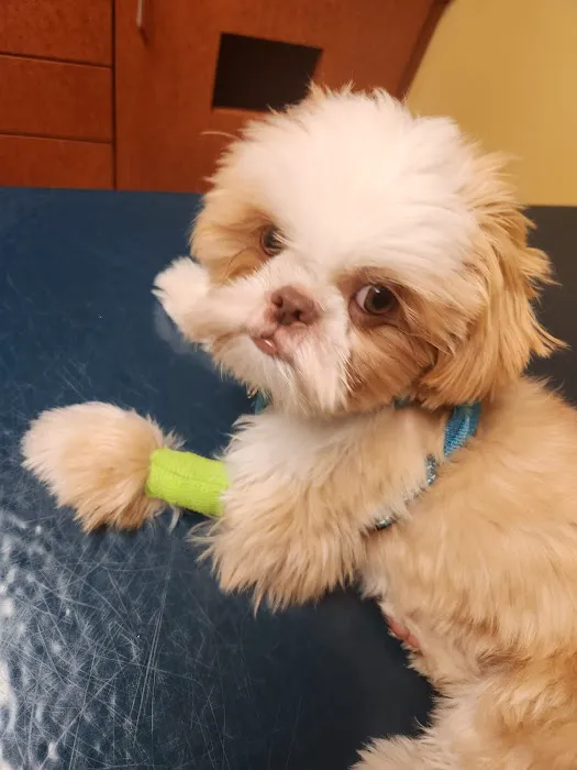 Midlothian Animal Clinic 3