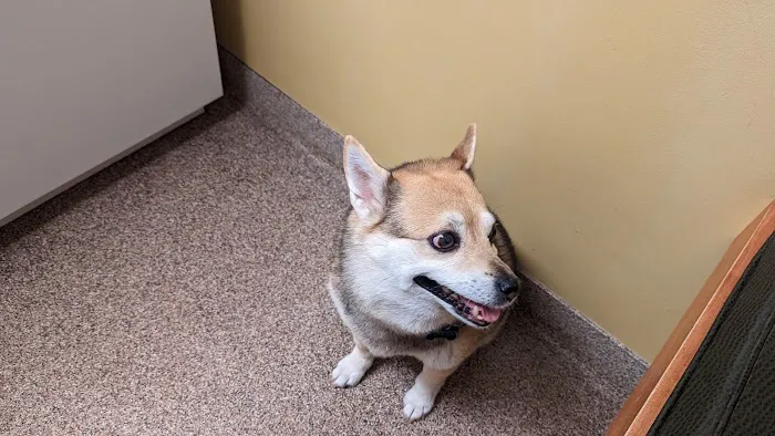 Midlothian Animal Clinic 8