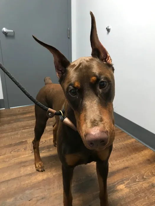 River Run Animal Hospital 7
