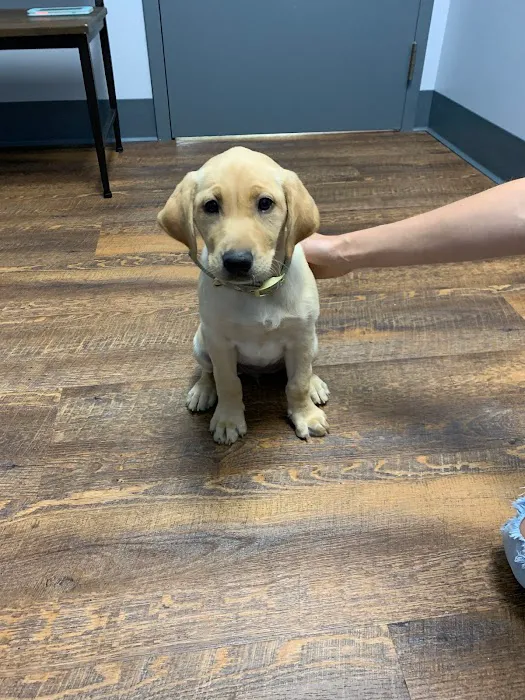 River Run Animal Hospital 10