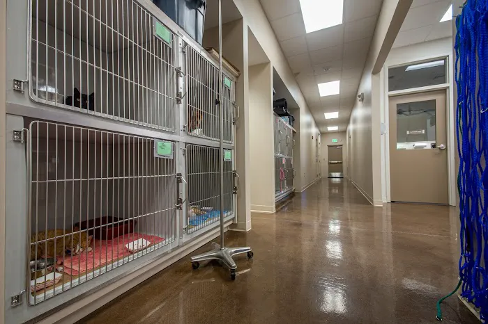 Fisher Animal Hospital 12