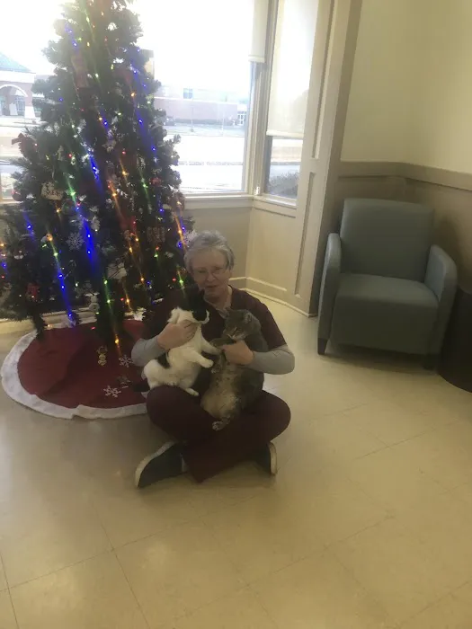 Helton Plaza Veterinary Hospital: Whitlow Dan M DVM 3