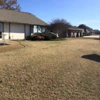 Helton Plaza Veterinary Hospital: Whitlow Dan M DVM ico