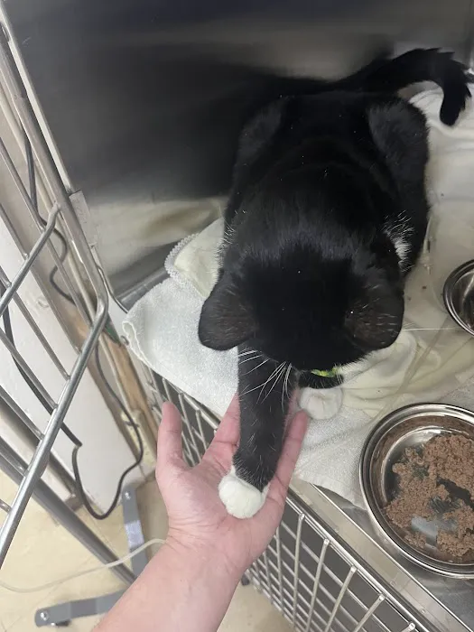 Helton Plaza Veterinary Hospital 4