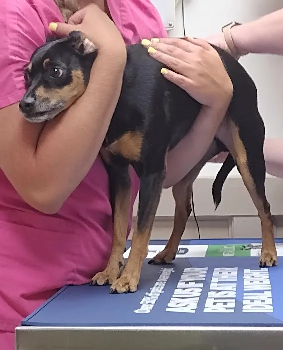 Helton Plaza Veterinary Hospital 1