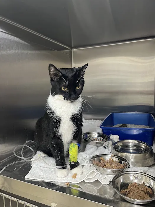 Helton Plaza Veterinary Hospital 2