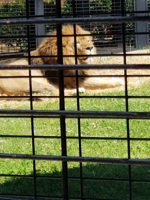 Florence Animal Hospital 8