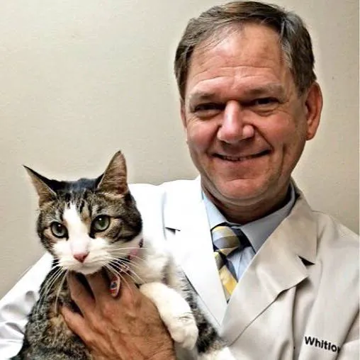 Woodward Avenue Animal Clinic 12
