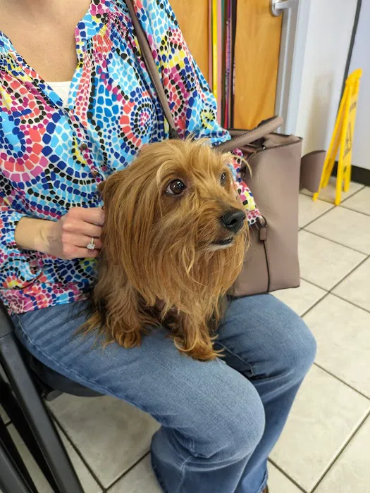 Shoals Animal Hospital 12