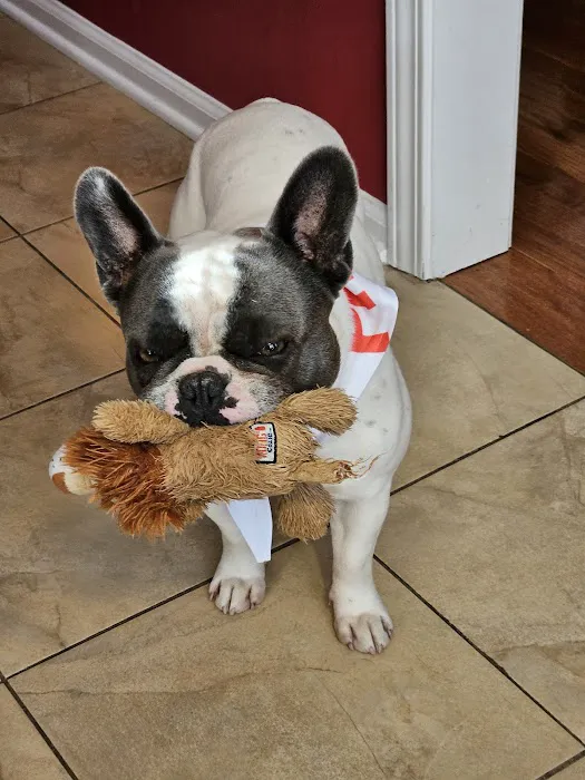 Shoals Animal Hospital 12