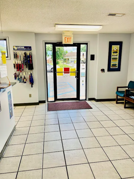 Shoals Animal Hospital 12
